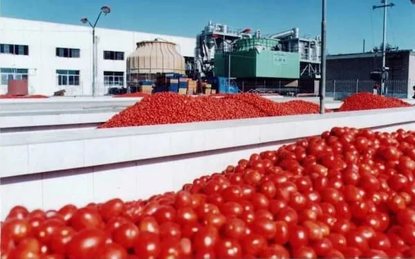 قیمت و خرید رب گوجه فرنگی صنعتی + فروش ارزان