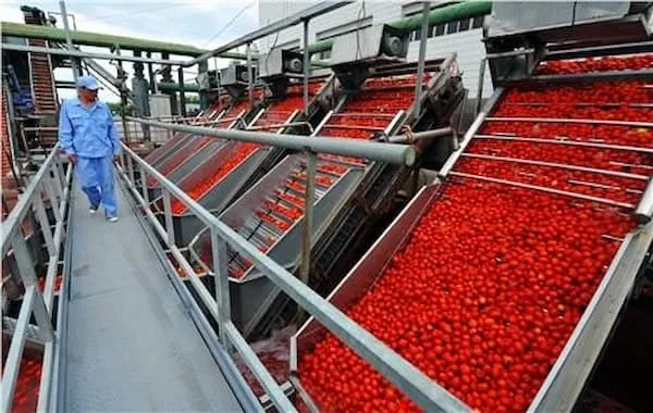 رب گوجه فرنگی صنعتی 800 گرمی | قیمت عالی