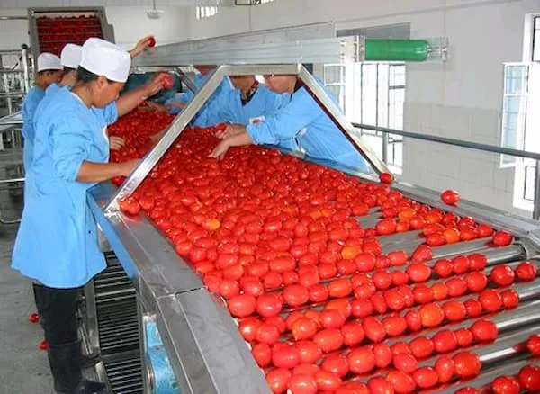 رب گوجه فرنگی صنعتی 800 گرمی | قیمت عالی