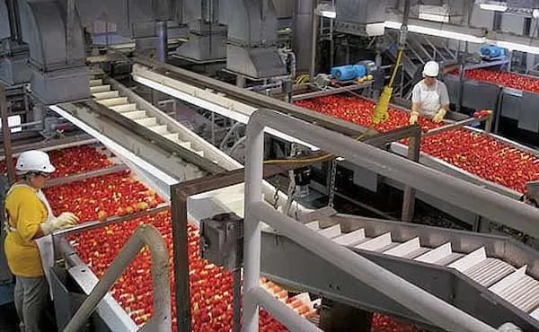 قیمت و خرید رب گوجه فرنگی صنعتی + فروش ارزان